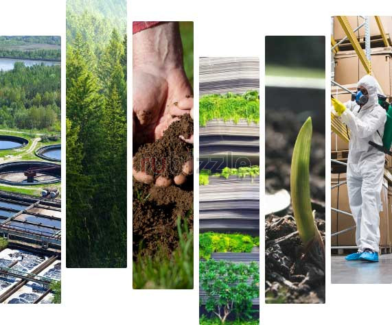 Environmental Compliance Consultancy and Sustainability Support Qatar